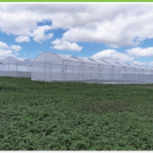 Soluções Orgânicas