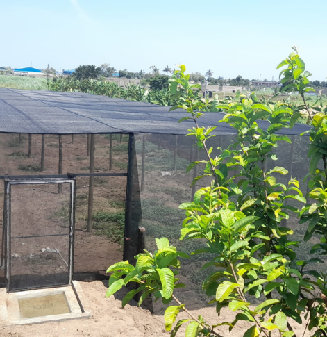 Hort Irriga - Produtos Orgânicos