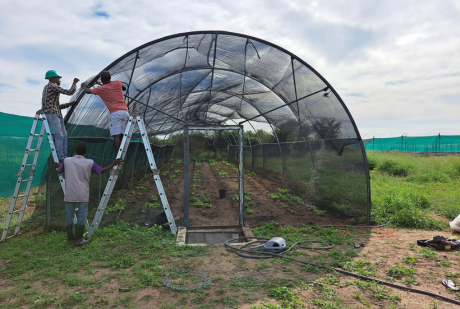 Hort Irriga - Campos Irrigados